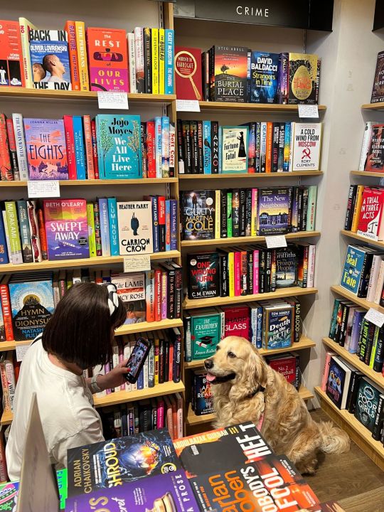 Snapping Daisy's photo in Waterstones